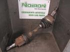 0107302GM0000 Federbein rechts vorne Nissan Pathfinder III (R51) 0107302GM0000 Federbein rechts vorne Nissan Pathfinder III (R51)