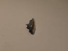 Original Seitenblinker VW Caddy Bj 2009 OEM 2K0949117A Original Seitenblinker VW Caddy Bj 2009 OEM 2K0949117A
