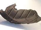 Original Audi A4 B9 (8W2 8WC) 2.0 Tfsi Quattro Radhausschale Hinten Links Bj 2015-2019 OEM 8W0810171F