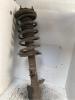 237 Federbein links vorne Ford Maverick II